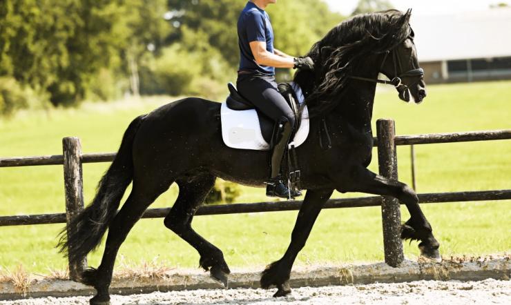 Gallery Photo of JARO SPORT - #18