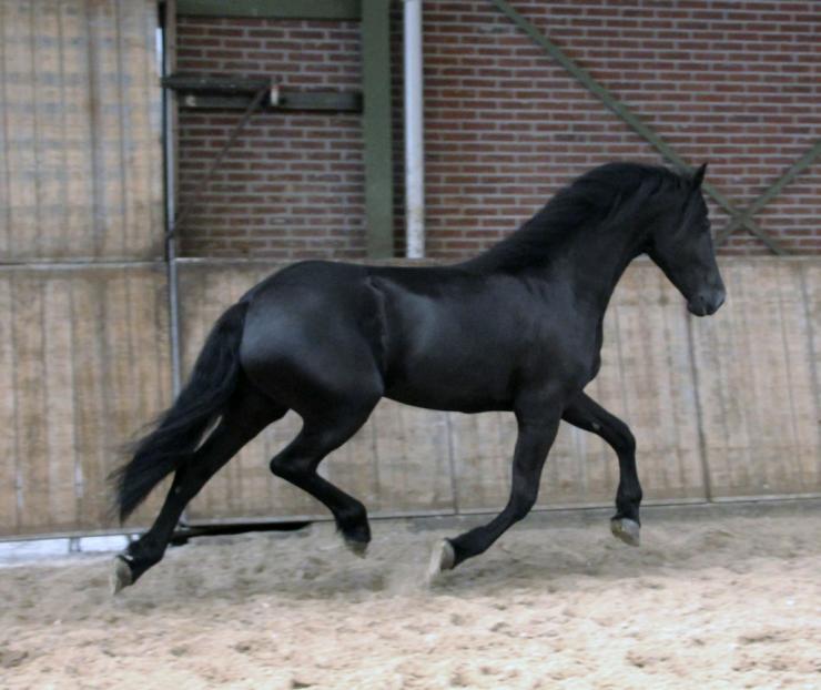 Gallery Photo of Judith Boszorg - #11