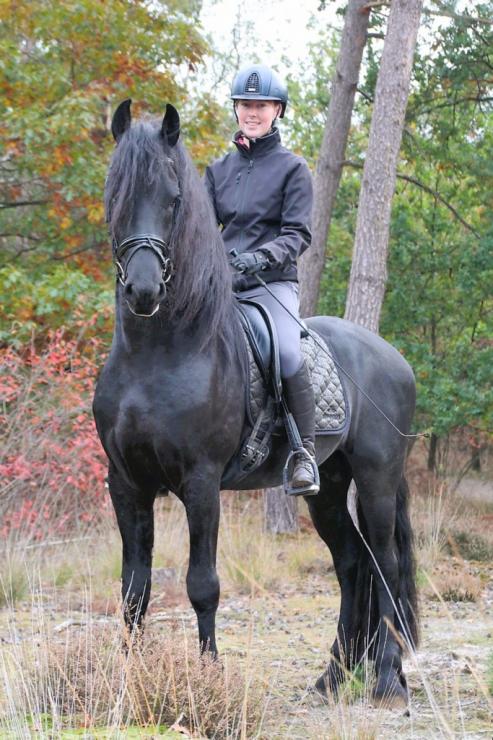 Gallery Photo of LEVI - #27