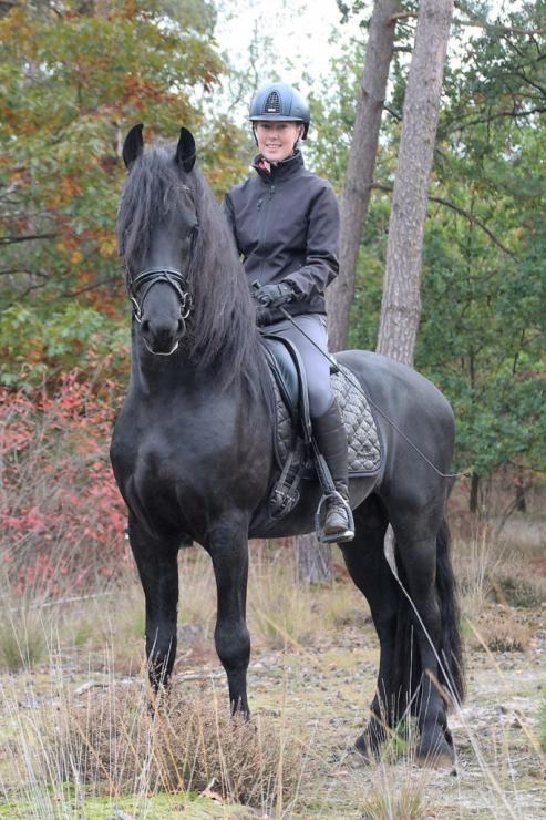 Gallery Photo of LEVI - #31