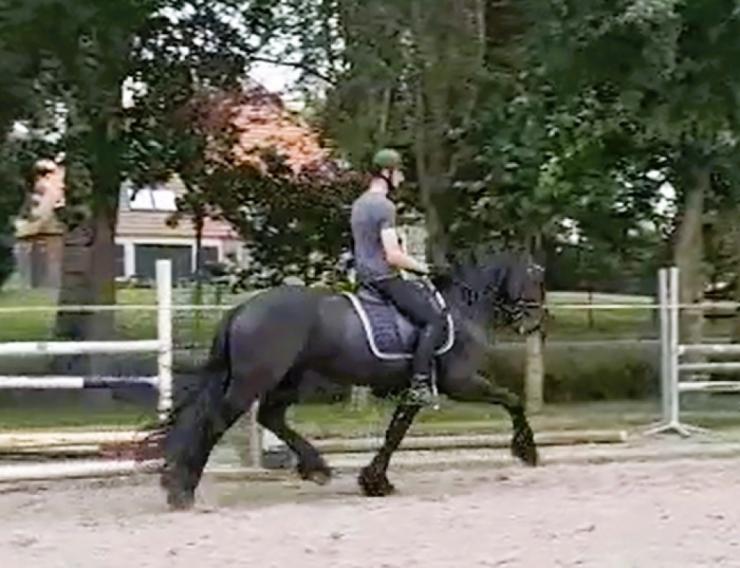 Gallery Photo of EVERT BSF - #46