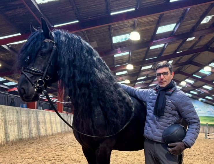 Gallery Photo of MARCO - #6