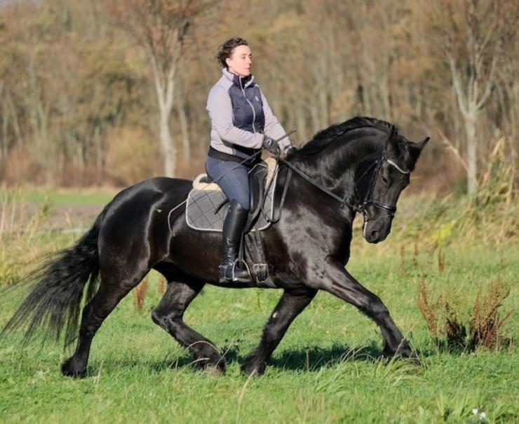 Gallery Photo of MAX BSF - #6