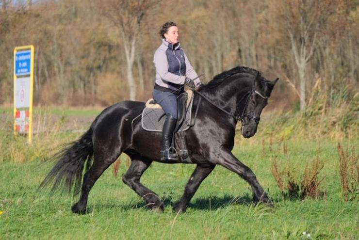 Gallery Photo of MAX BSF - #7
