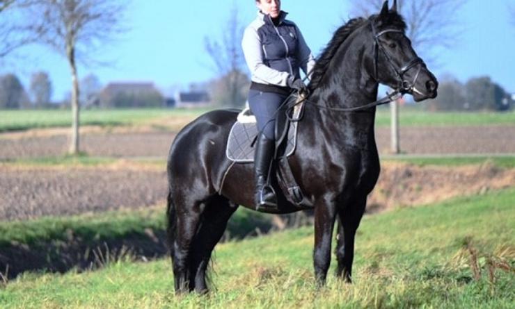 Gallery Photo of MAX BSF - #19