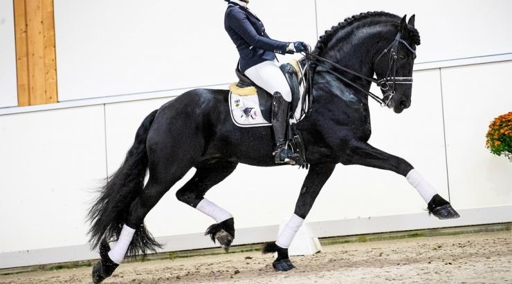 Gallery Photo of Pinot Noir STER SPORT - #1