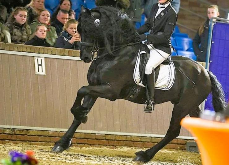 Gallery Photo of Nuttert SPORT - #35