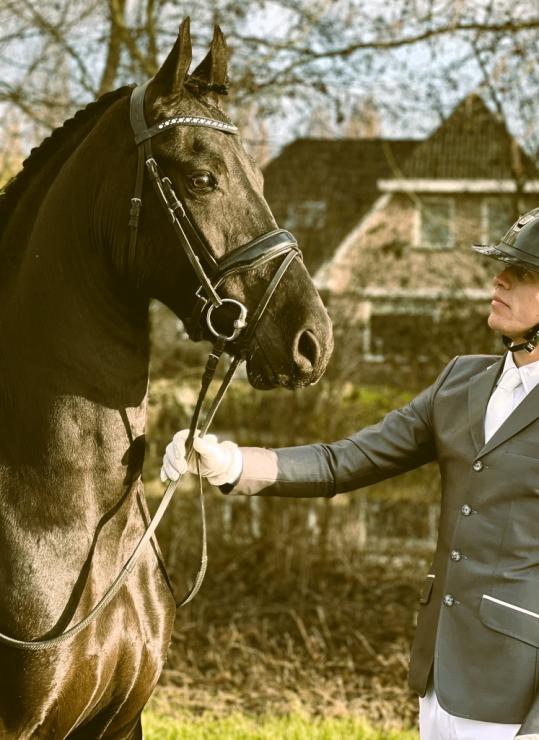 Gallery Photo of OLIVER - #21