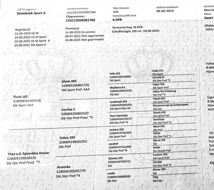 Gallery Photo of ANALISA - #25