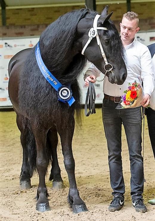 Gallery Photo of Pinot Noir STER SPORT - #23
