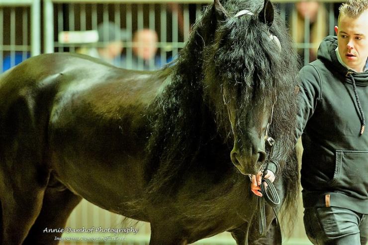 Gallery Photo of Pinot Noir STER SPORT - #33