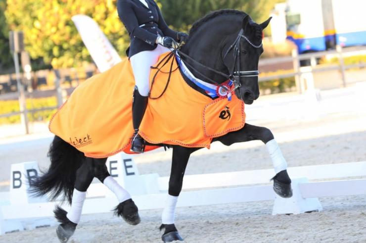 Gallery Photo of Pinot Noir STER SPORT - #2