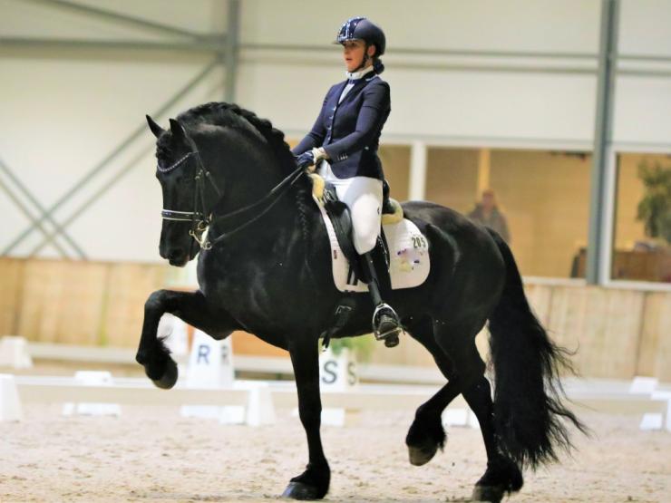 Gallery Photo of Pinot Noir STER SPORT - #6