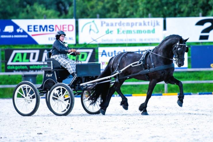 Gallery Photo of RONAN STER SPORT - #13