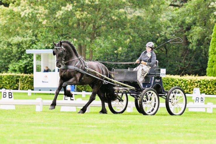 Gallery Photo of RONAN STER SPORT - #9