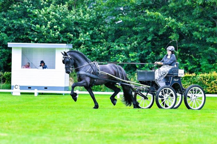 Gallery Photo of RONAN STER SPORT - #7
