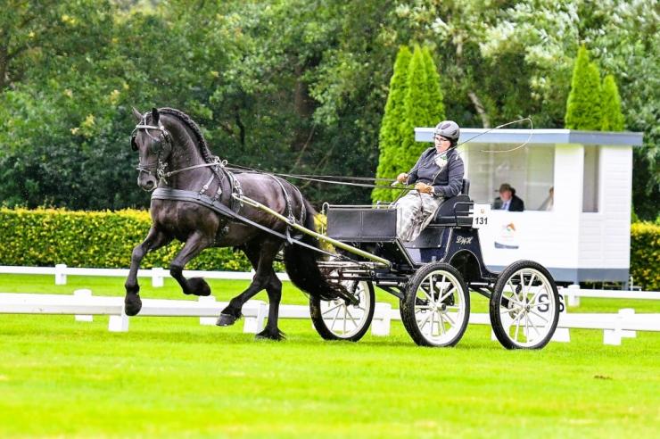Gallery Photo of RONAN STER SPORT - #2