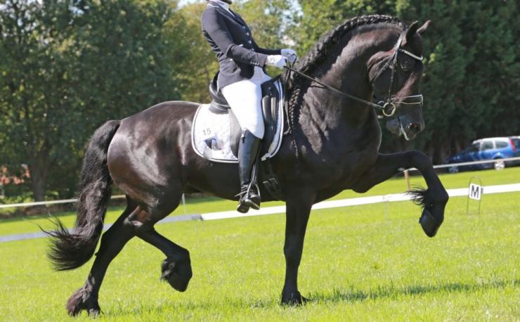 Gallery Photo of Pinot Noir STER SPORT - #10