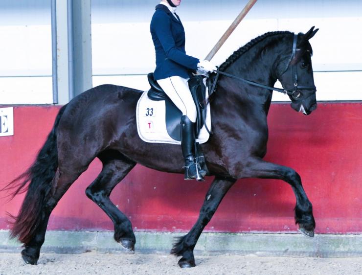Gallery Photo of SHADAE - #18
