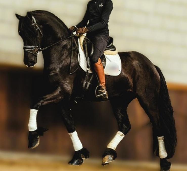 Gallery Photo of SOREN - #5