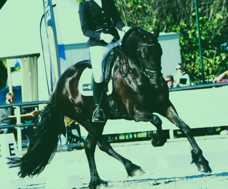 Gallery Photo of ANALISA - #5