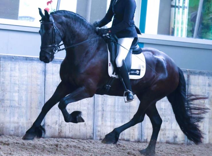 Gallery Photo of ANALISA - #3