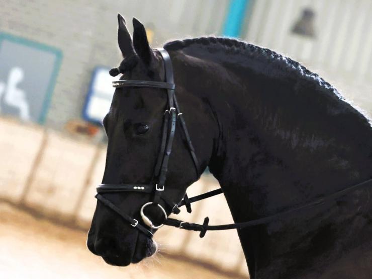 Gallery Photo of ANALISA - #4