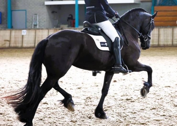 Gallery Photo of ANALISA - #8