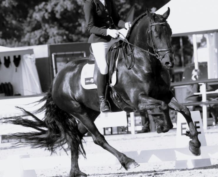 Gallery Photo of ANALISA - #7