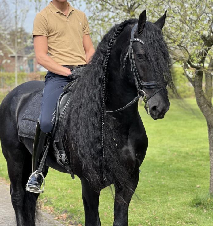 Gallery Photo of Finn STER SPORT - #7