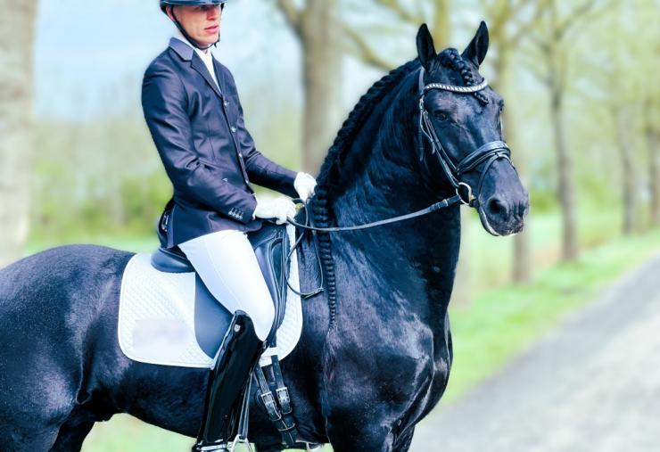 Gallery Photo of Finn STER SPORT - #5