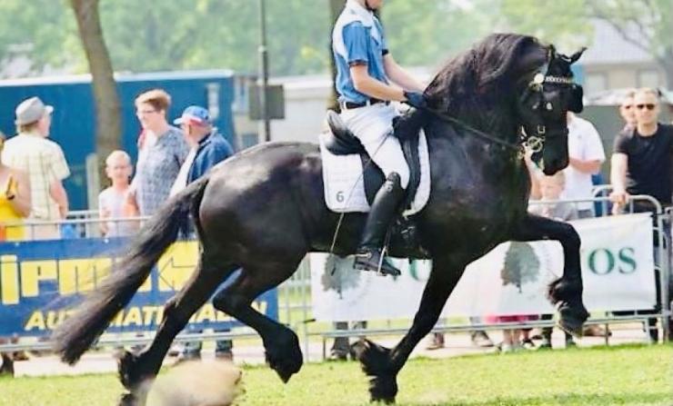 Gallery Photo of TEADE STER & SPORT - #8