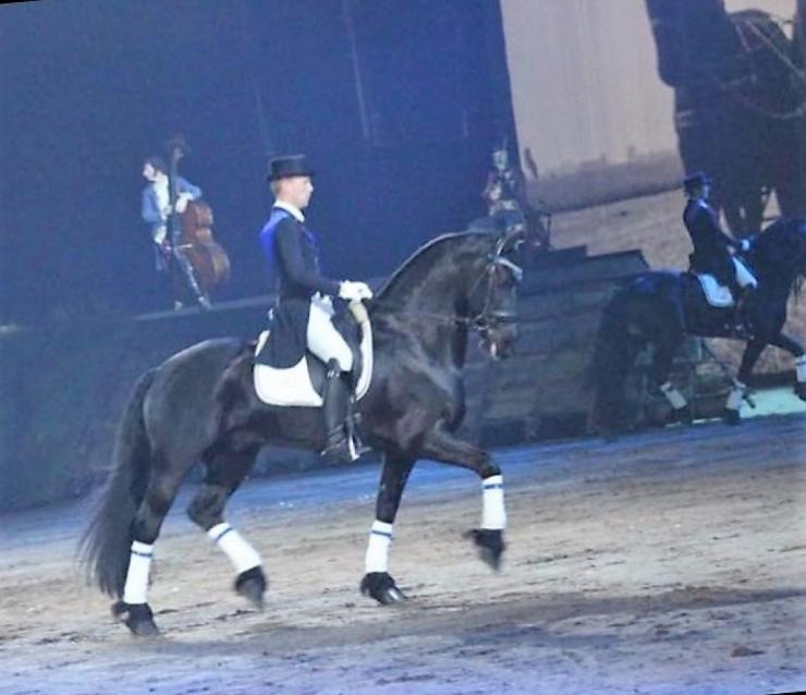 Gallery Photo of TEADE STER & SPORT - #10