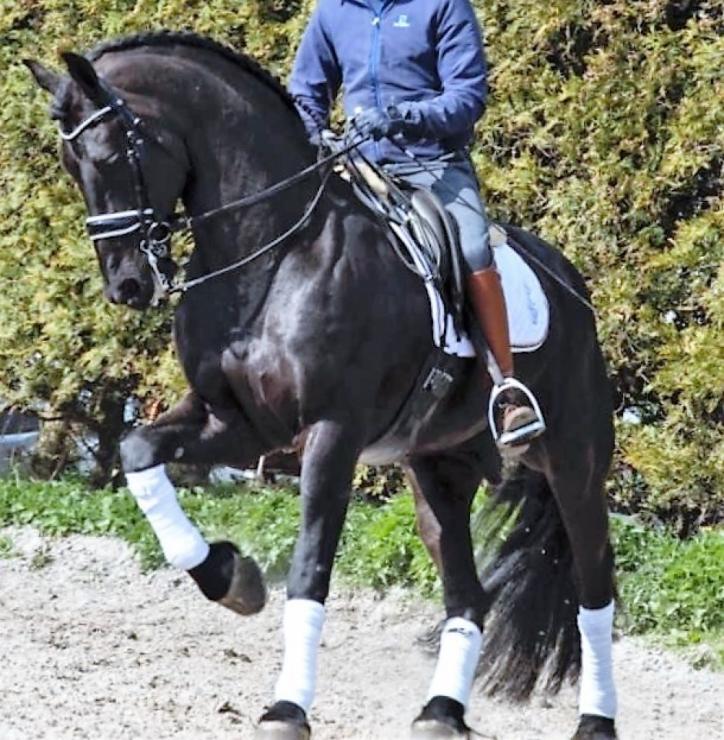 Gallery Photo of TEADE STER & SPORT - #11
