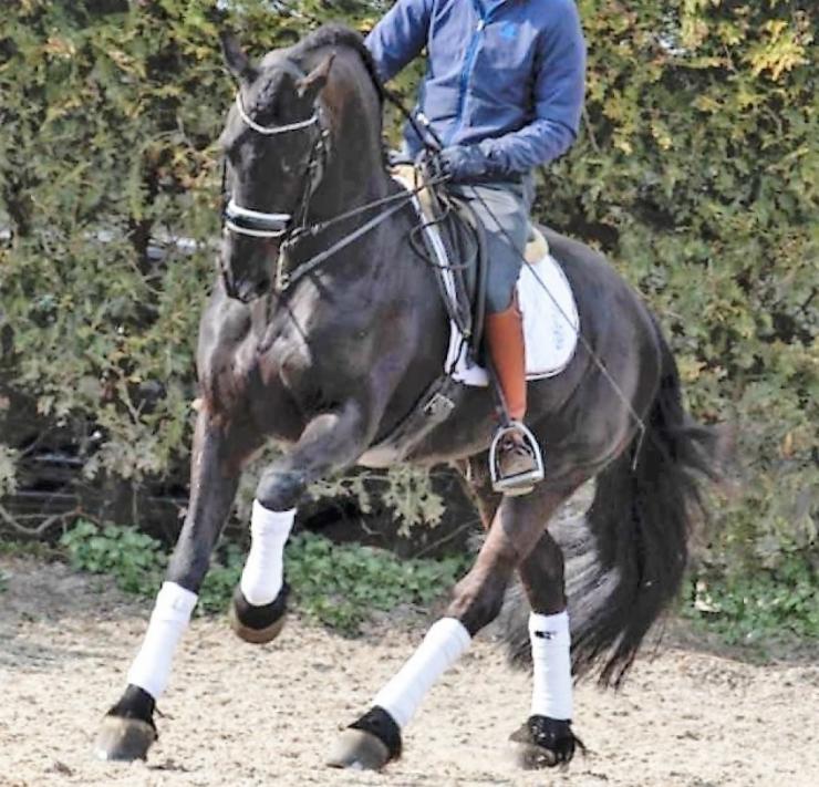 Gallery Photo of TEADE STER & SPORT - #13