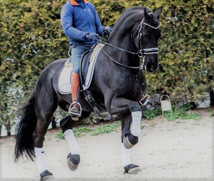 Gallery Photo of TEADE STER & SPORT - #14