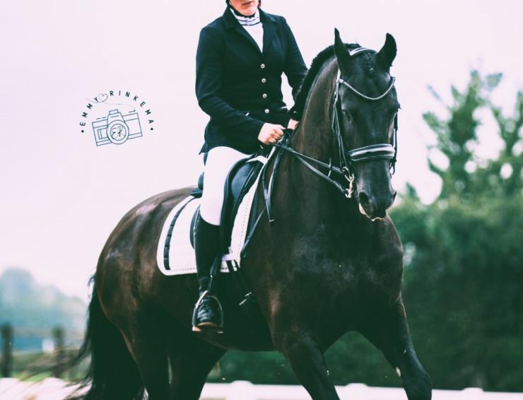 Gallery Photo of TEUNIS SPORT - #6