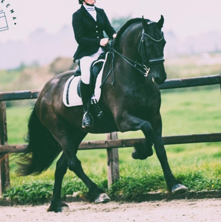 Gallery Photo of TEUNIS SPORT - #7