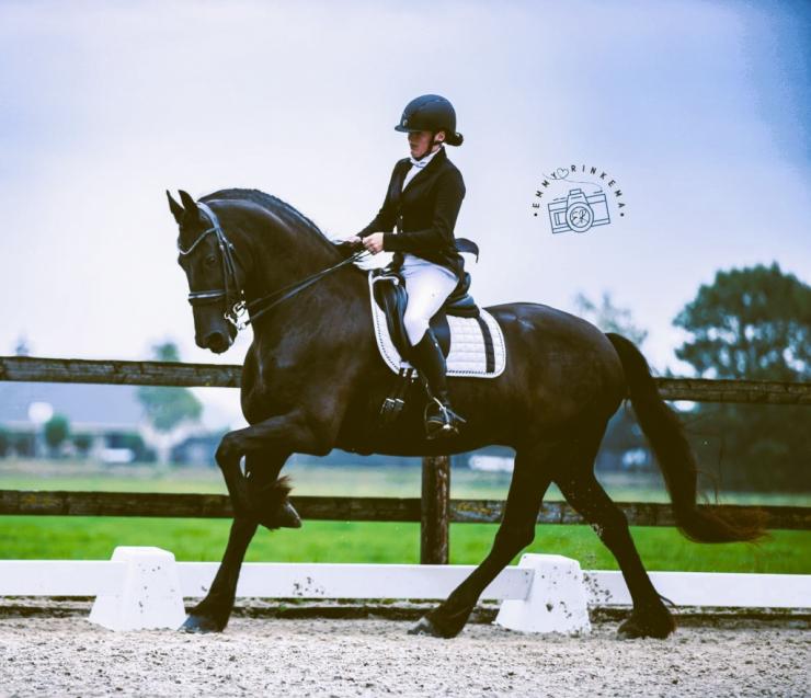 Gallery Photo of TEUNIS SPORT - #11