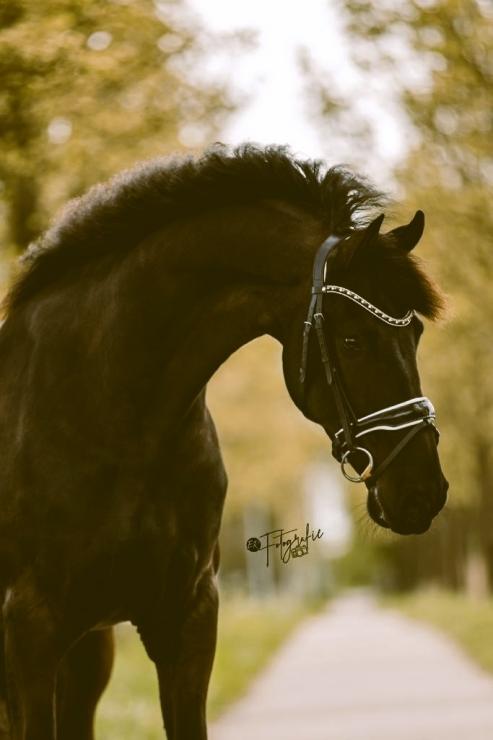 Gallery Photo of TEUNIS SPORT - #2