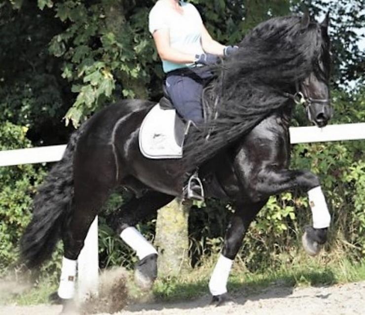Gallery Photo of Thad SPORT - #14