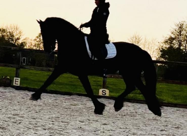 Gallery Photo of Thymen SPORT - #17