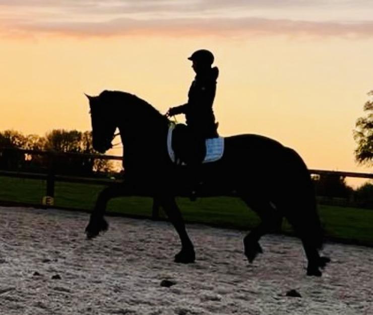 Gallery Photo of Thymen SPORT - #20