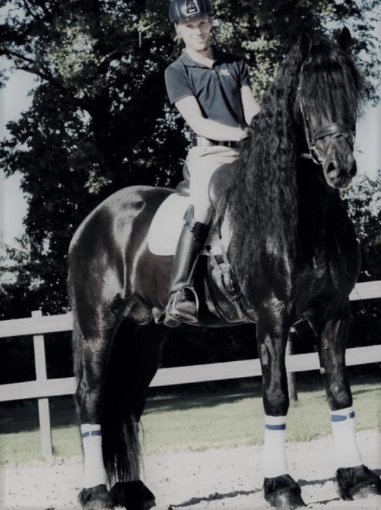Gallery Photo of Tito STER - #11