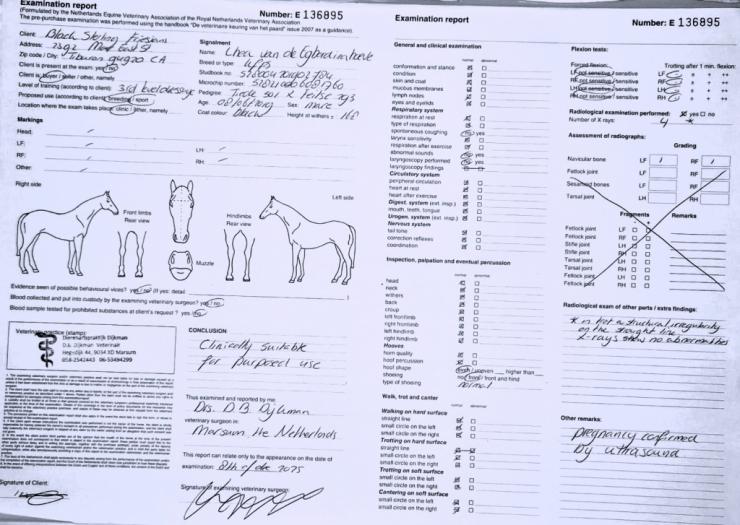 Gallery Photo of ANALISA - #24