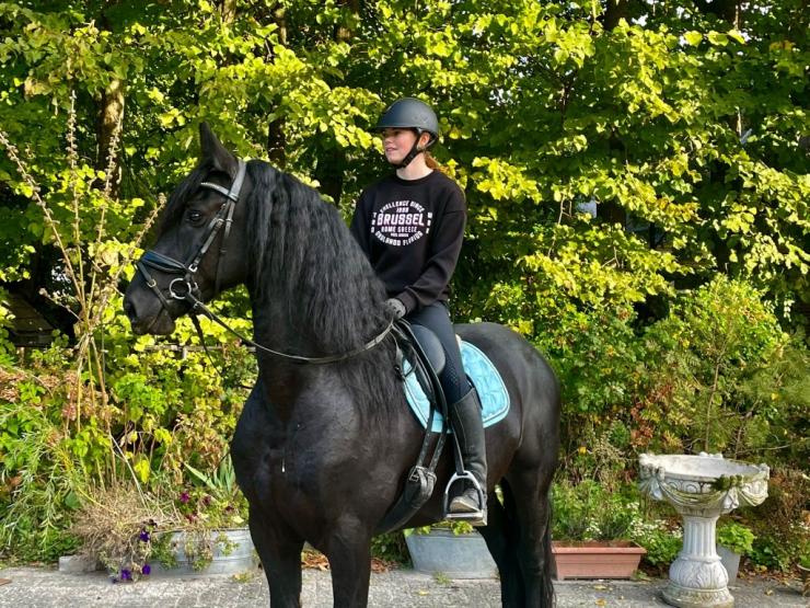 Gallery Photo of Vito - #7
