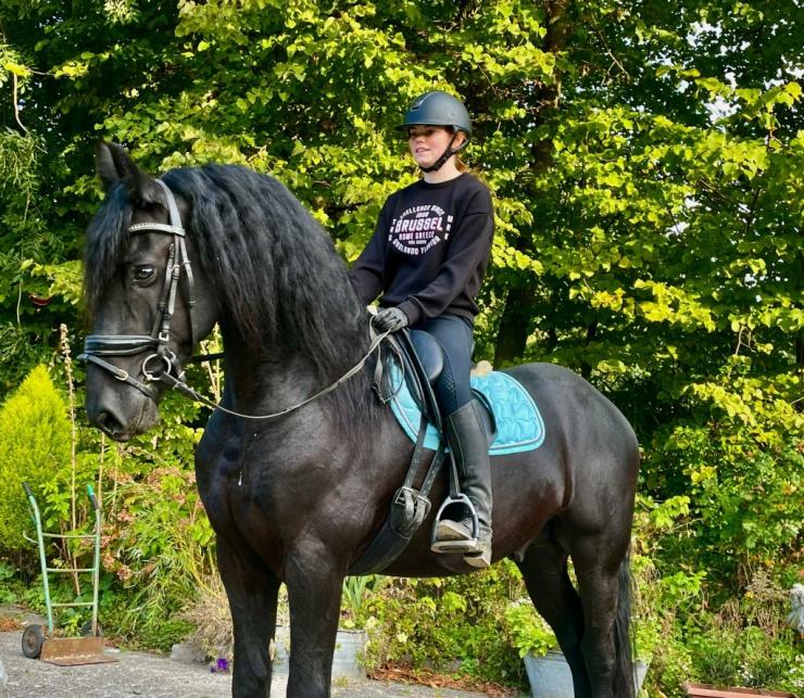 Gallery Photo of Vito - #5