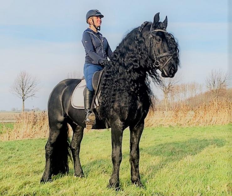 Gallery Photo of WISSE STER - #14