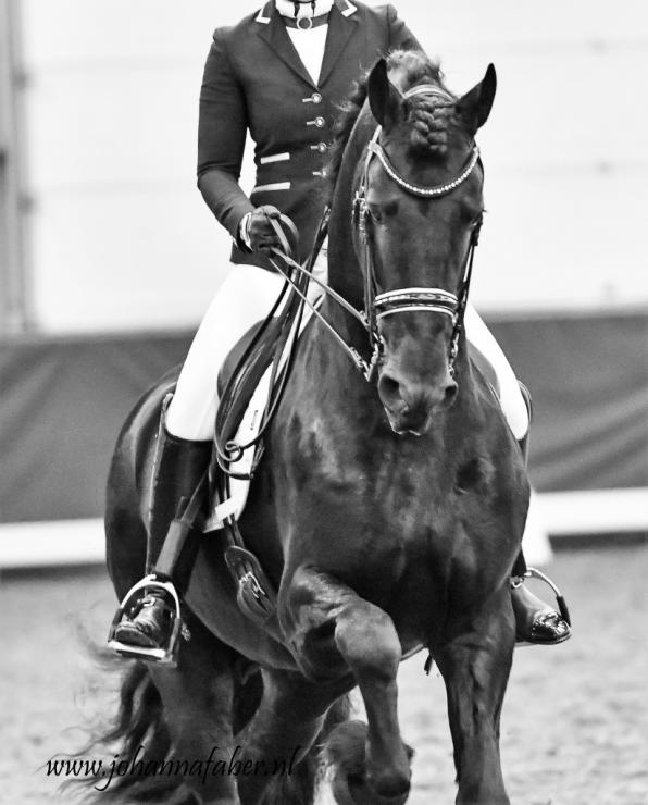 Gallery Photo of Pinot Noir STER SPORT - #9