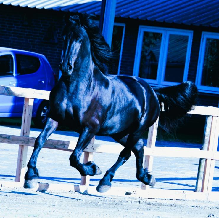 Gallery Photo of ZELINE - #7
